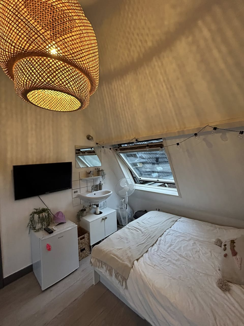 Bekijk foto 1/5 van room in Nijmegen